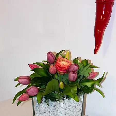 Finestra Su Pensjonat